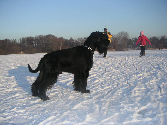 Bild 379.jpg